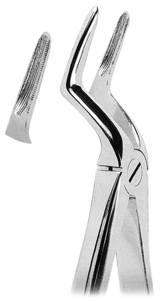 AMAX- 1041 Fig. 51L